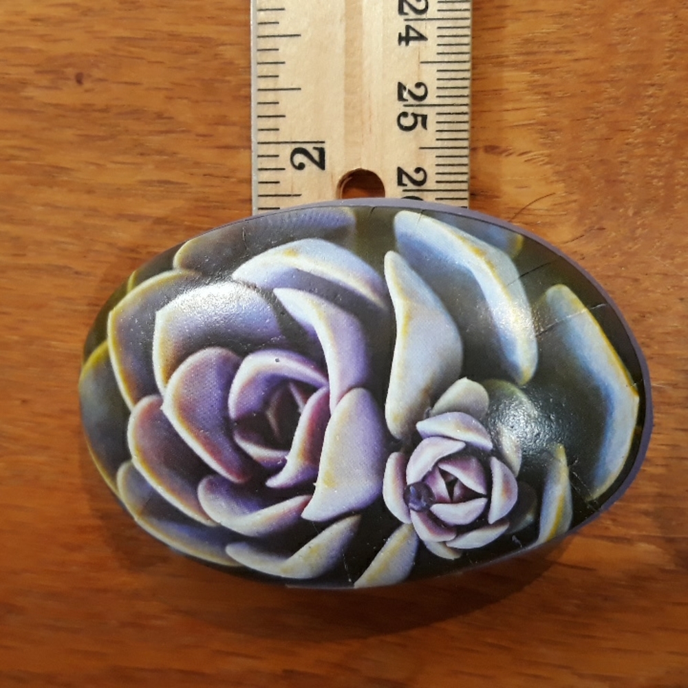 Succulent Art Rocks New - Picture 5 of 9